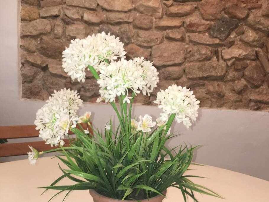 טראגונה Apartament De La Susanna Old Town Mezzanine מראה חיצוני תמונה